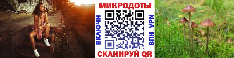 ссылка на мегу   Ясногорск  Псилоцибиновые грибы MAGIC MUSHROOMS  купить наркотики сайты 